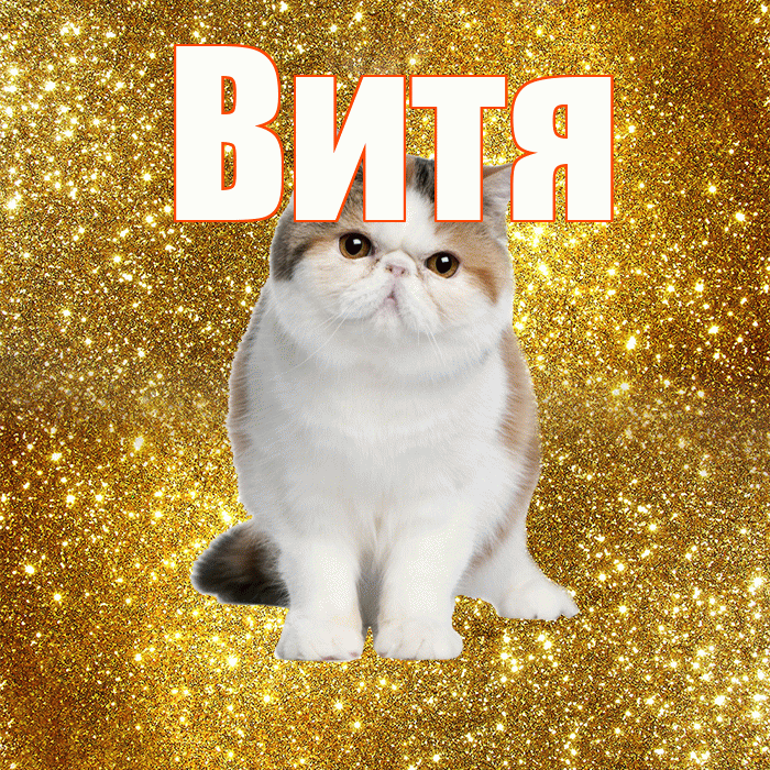 Витя! С добрым утром! Красивая открытка Вите!