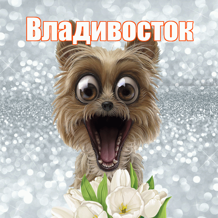 Владивосток! С добрым утром! Красивая открытка Владивостоку!