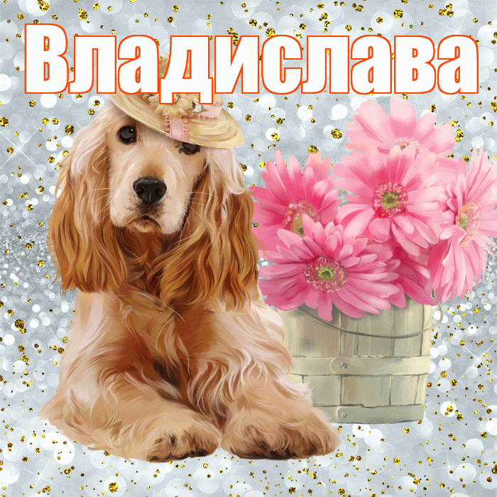 Владислава! С добрым утром! Красивая открытка Владиславе!