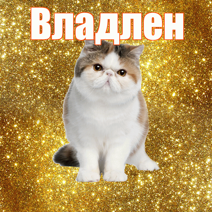 Владлен! С добрым утром! Красивая открытка Владлену!