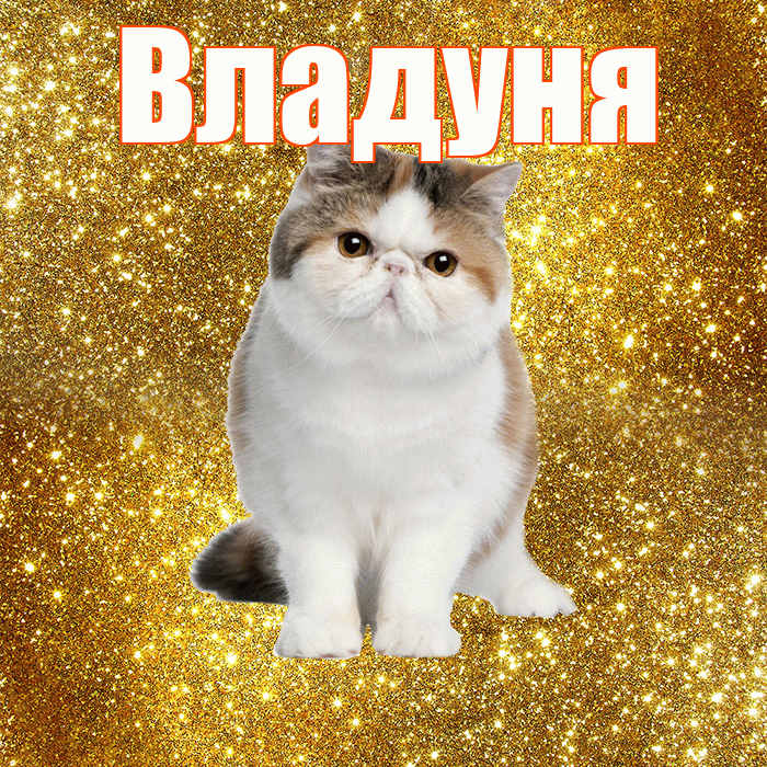 Владуня! С добрым утром! Красивая открытка !