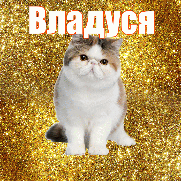 Владуся! С добрым утром! Красивая открытка !