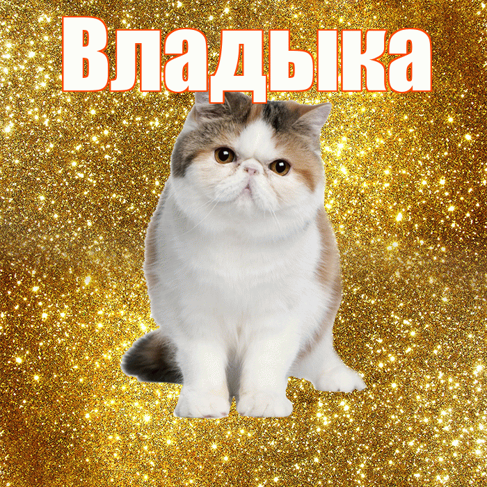 Владыка! С добрым утром! Красивая открытка Владыке!