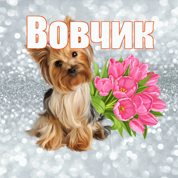Вовчик! С добрым утром! Красивая открытка !