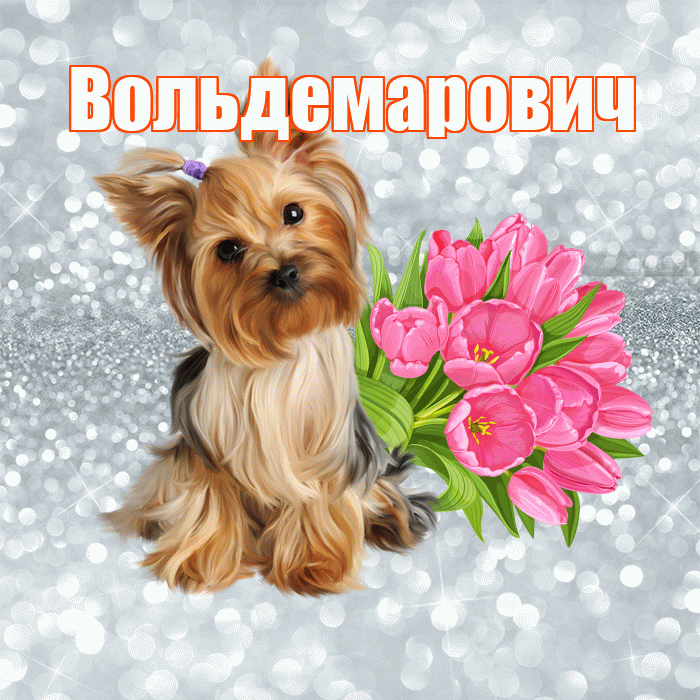 Вольдемарович! С добрым утром! Красивая открытка Вольдемаровичу!