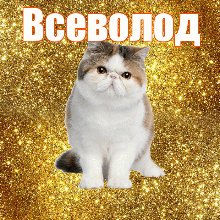 Всеволод! С добрым утром! Красивая открытка Всеволоду!
