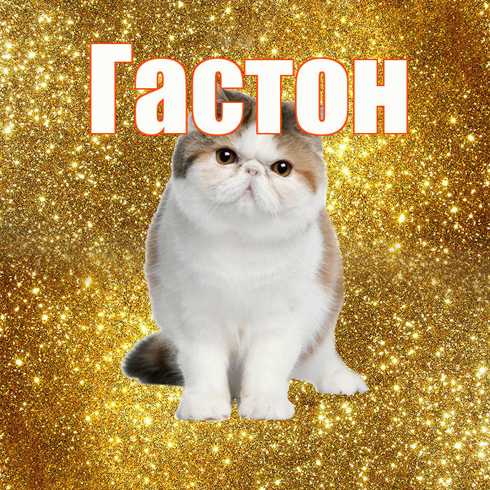 Гастон! С добрым утром! Красивая открытка Гастону!