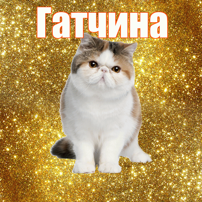 Гатчина! С добрым утром! Красивая открытка Гатчине!