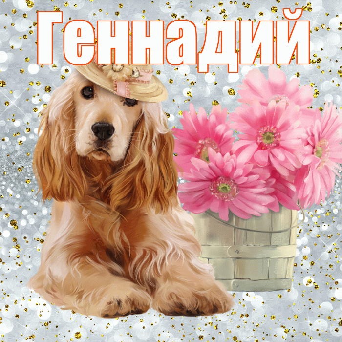 Геннадий! С добрым утром! Красивая открытка Геннадию!