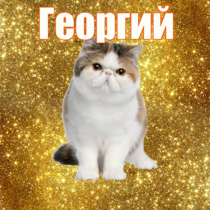 Георгий! С добрым утром! Красивая открытка Георгию!