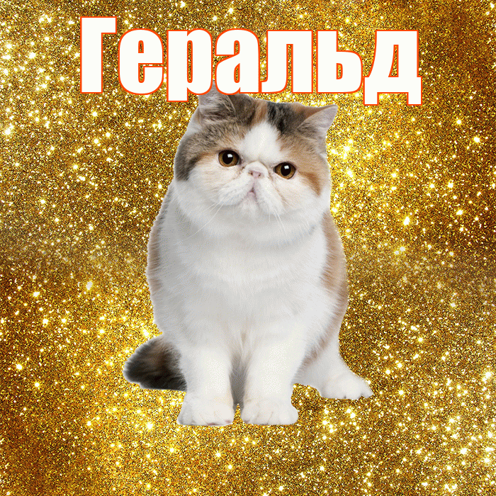 Геральд! С добрым утром! Красивая открытка Геральду!