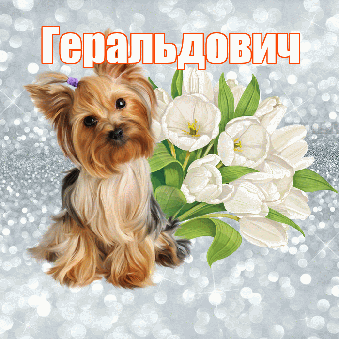 Геральдович! С добрым утром! Красивая открытка Геральдовичу!