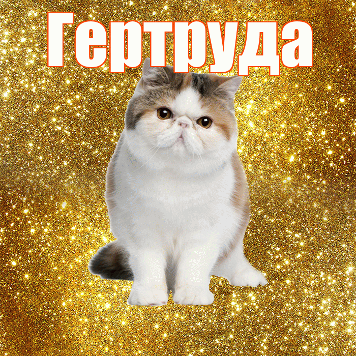 Гертруда! С добрым утром! Красивая открытка Гертруде!