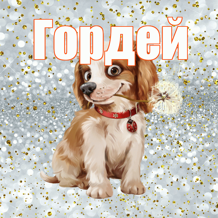 Гордей! С добрым утром! Красивая открытка Гордею!