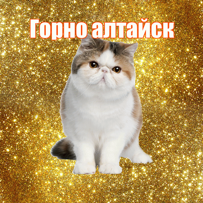 Горно алтайск! С добрым утром! Красивая открытка !