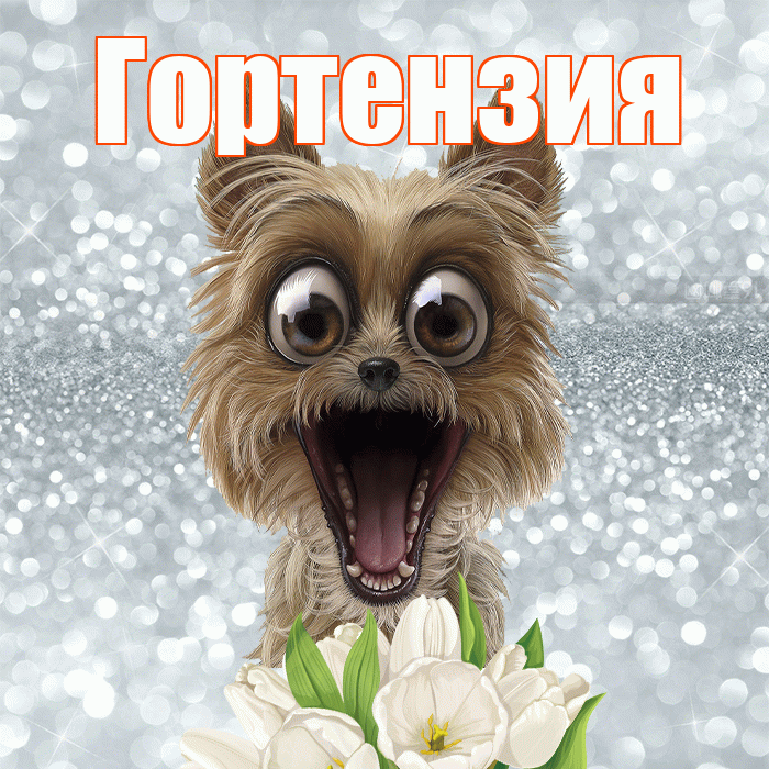Гортензия! С добрым утром! Красивая открытка Гортензии!