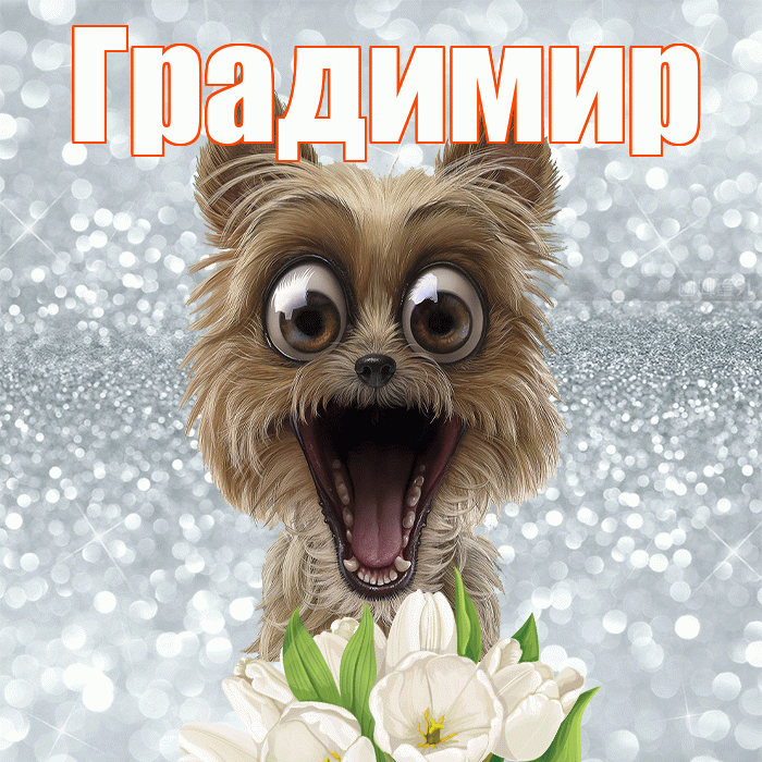 Градимир! С добрым утром! Красивая открытка Градимиру!