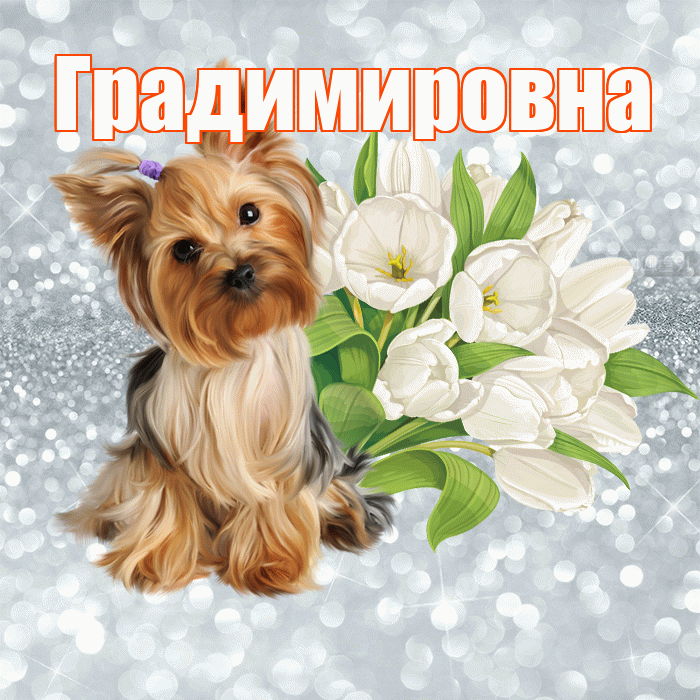 Градимировна! С добрым утром! Красивая открытка Градимировне!