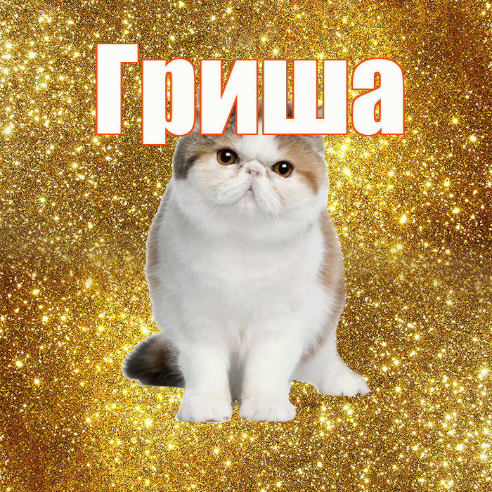 Гриша! С добрым утром! Красивая открытка Грише!