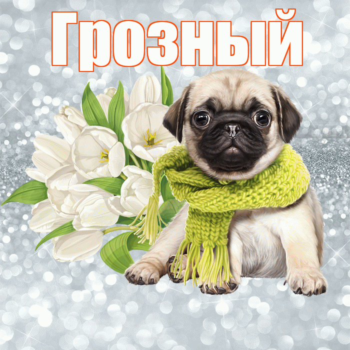 Грозный! С добрым утром! Красивая открытка Грозныю!