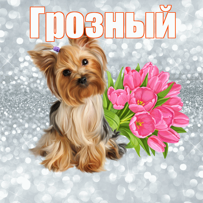 Грозный! С добрым утром! Красивая открытка Грозныю!