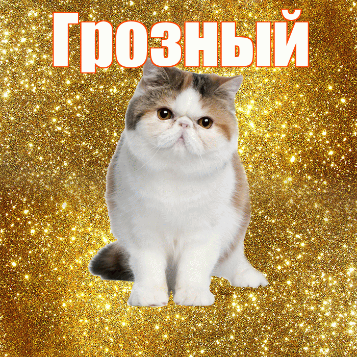 Грозный! С добрым утром! Красивая открытка Грозныю!