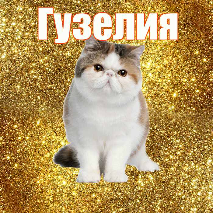 Гузелия! С добрым утром! Красивая открытка Гузелии!
