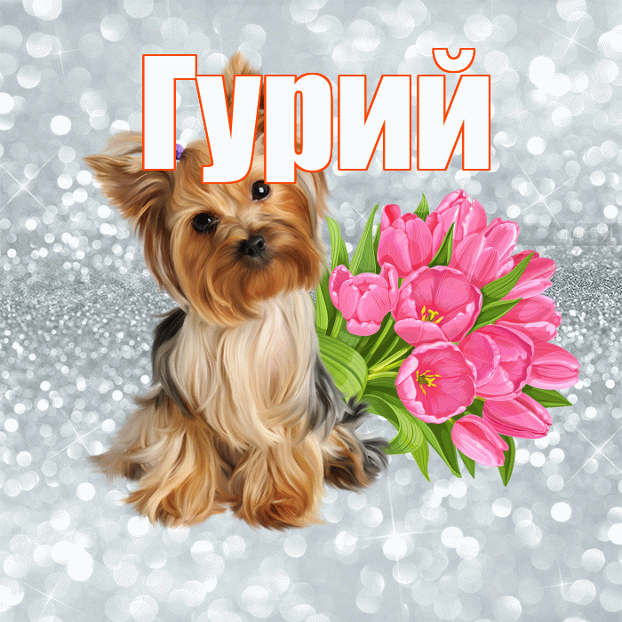 Гурий! С добрым утром! Красивая открытка Гурию!