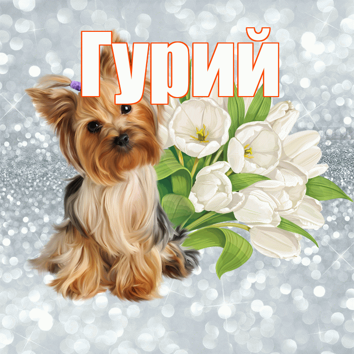 Гурий! С добрым утром! Красивая открытка Гурию!
