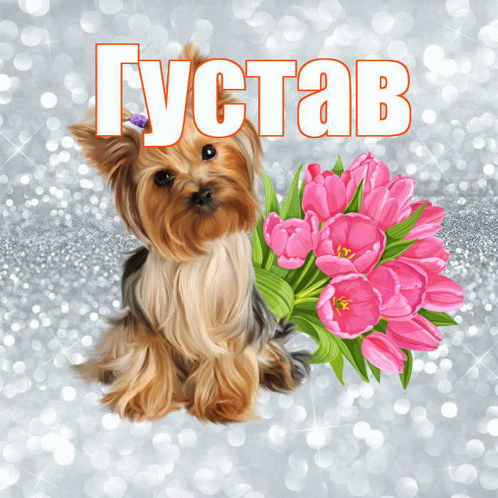 Густав! С добрым утром! Красивая открытка Густаву!