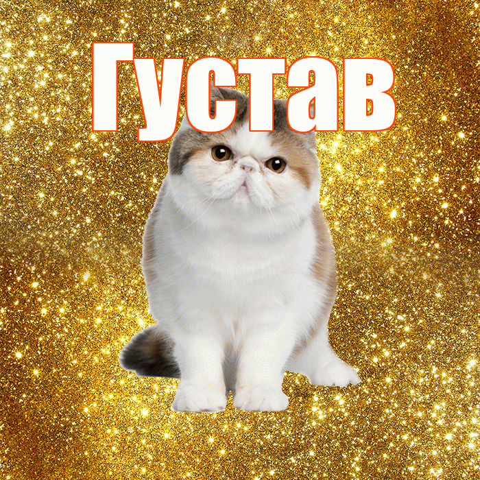 Густав! С добрым утром! Красивая открытка Густаву!
