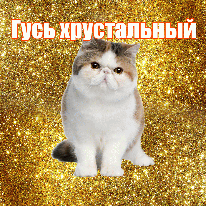 Гусь хрустальный! С добрым утром! Красивая открытка !