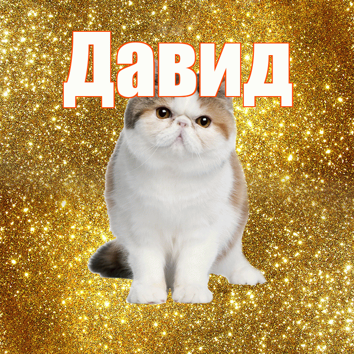 Давид! С добрым утром! Красивая открытка Давиду!