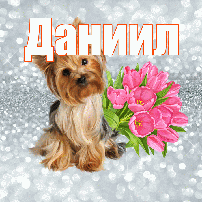Даниил! С добрым утром! Красивая открытка Даниилу!