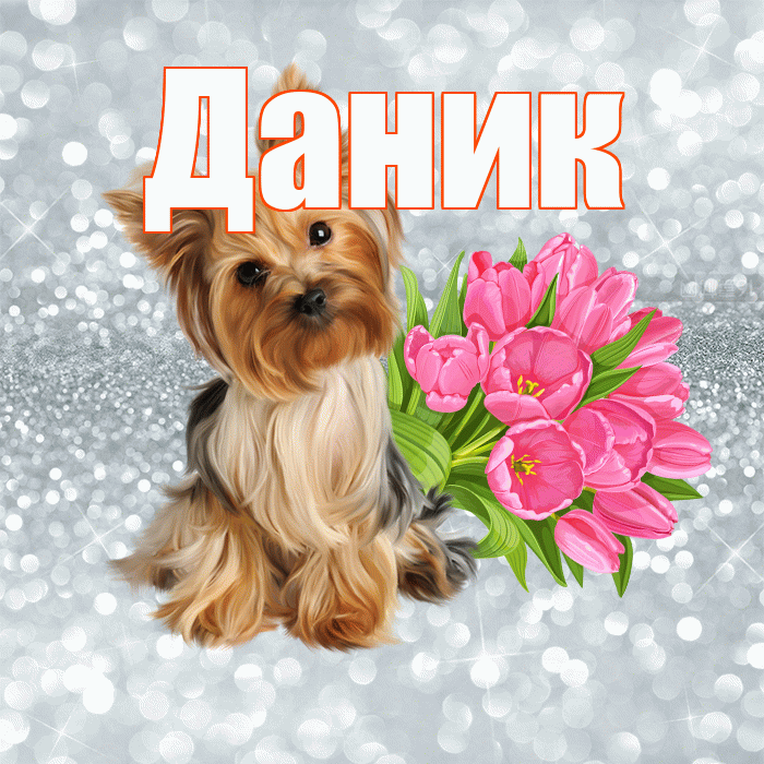 Даник! С добрым утром! Красивая открытка Данику!