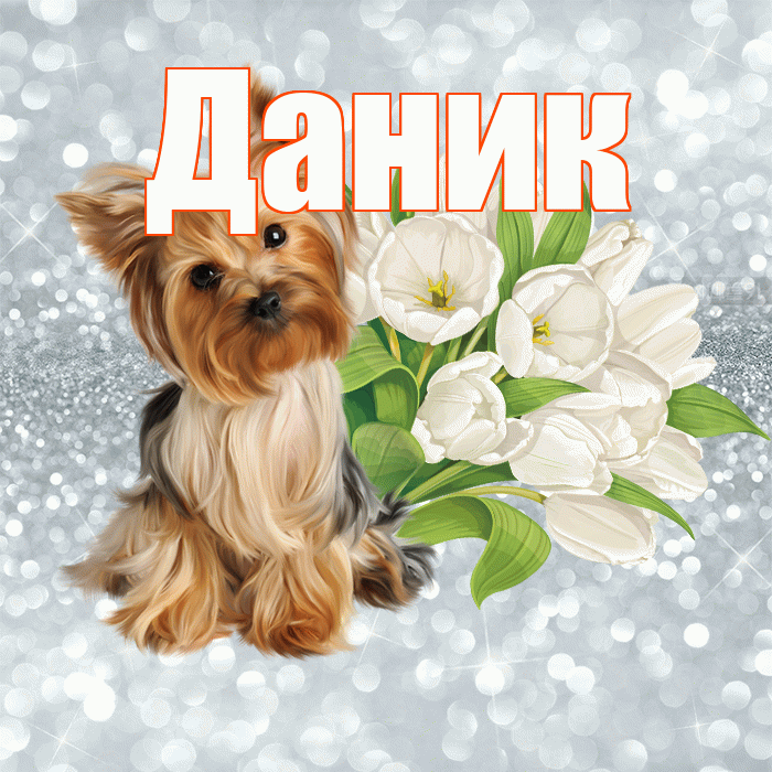 Даник! С добрым утром! Красивая открытка Данику!