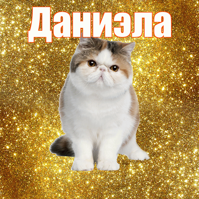 Даниэла! С добрым утром! Красивая открытка Даниэловне!