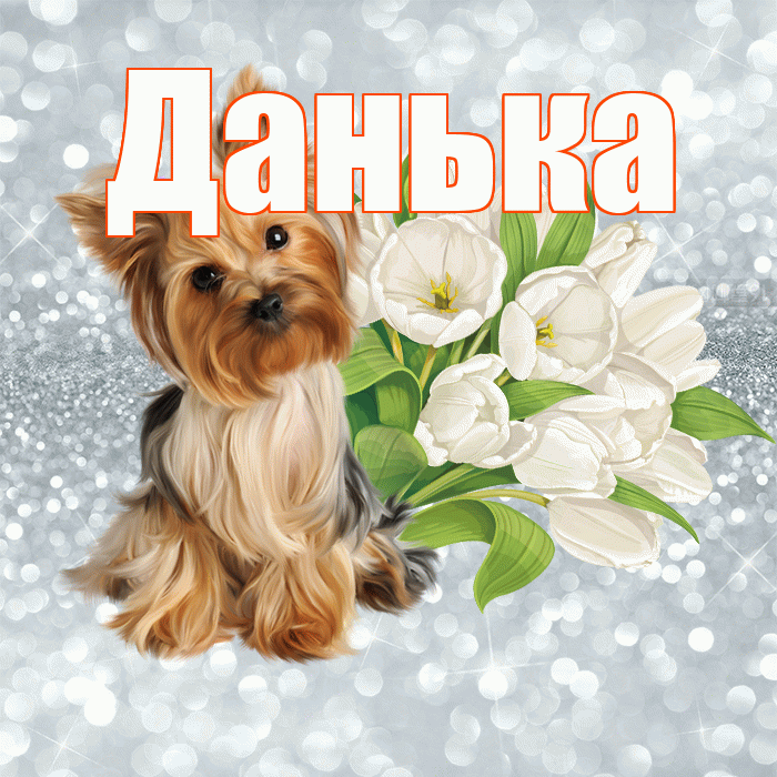 Данька! С добрым утром! Красивая открытка !