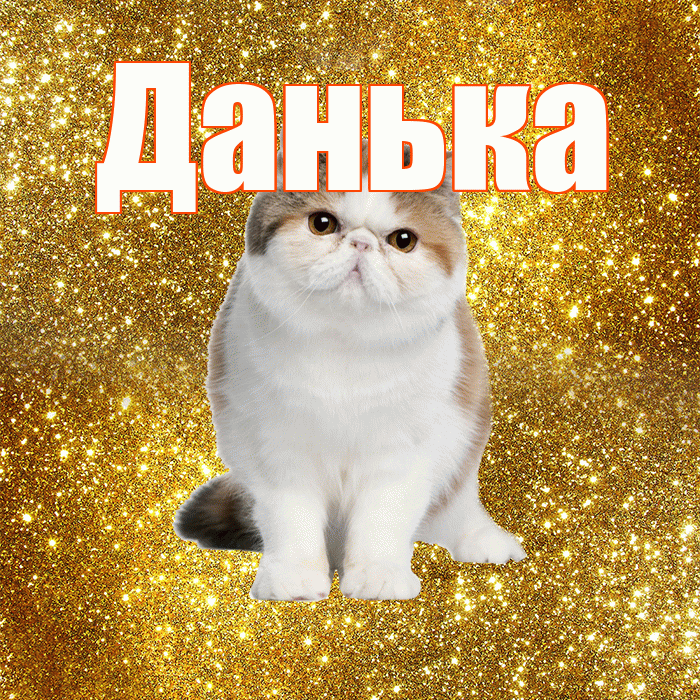 Данька! С добрым утром! Красивая открытка !