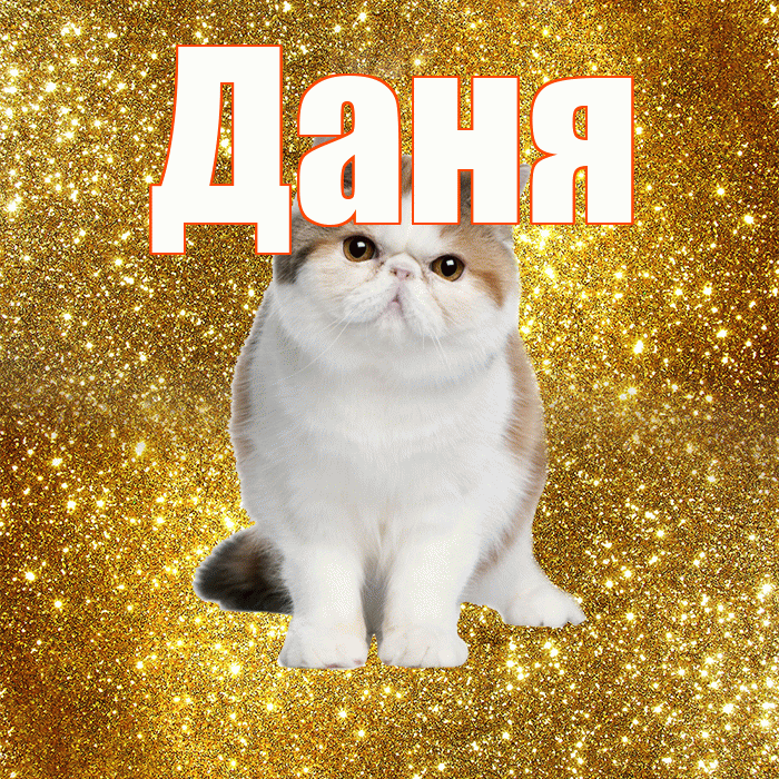 Даня! С добрым утром! Красивая открытка Дане!