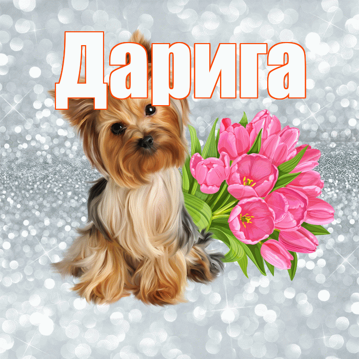 Дарига! С добрым утром! Красивая открытка Дариге!