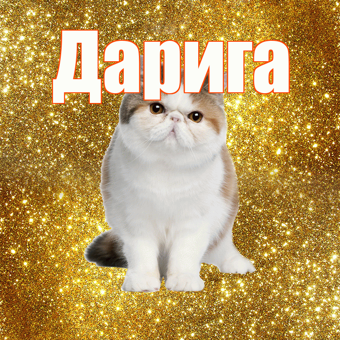 Дарига! С добрым утром! Красивая открытка Дариге!