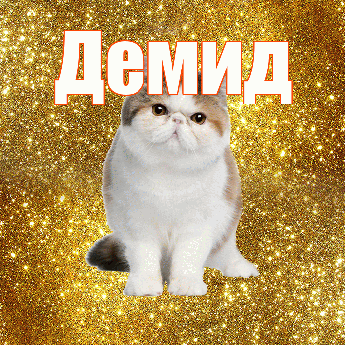 Демид! С добрым утром! Красивая открытка Демиду!