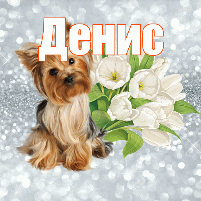 Денис! С добрым утром! Красивая открытка Денису!