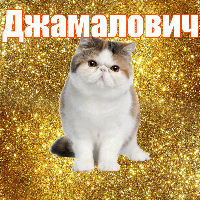 Джамалович! С добрым утром! Красивая открытка Джамаловичу!