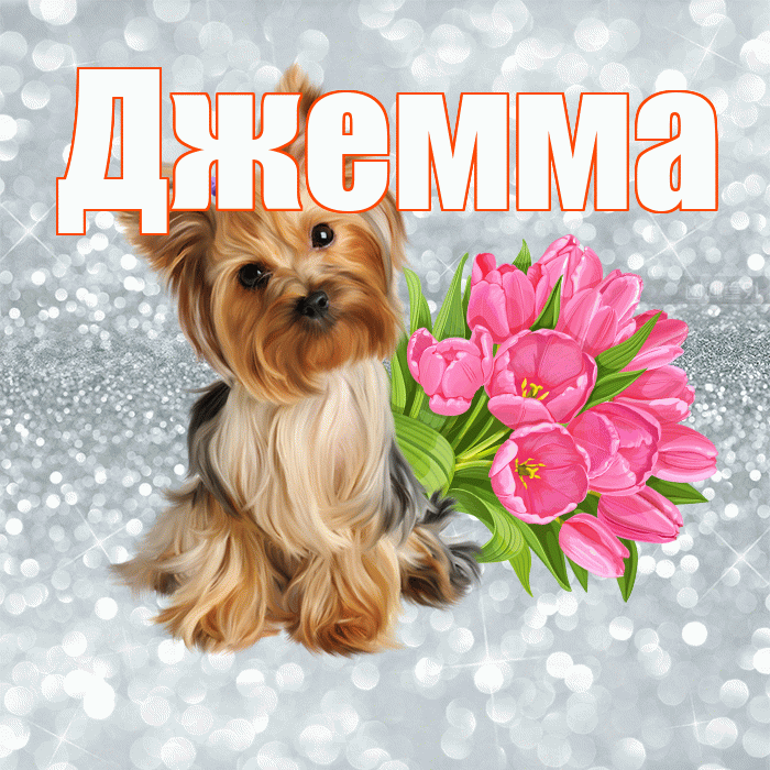 Джемма! С добрым утром! Красивая открытка Джемме!