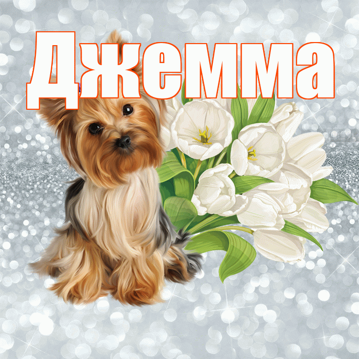 Джемма! С добрым утром! Красивая открытка Джемме!