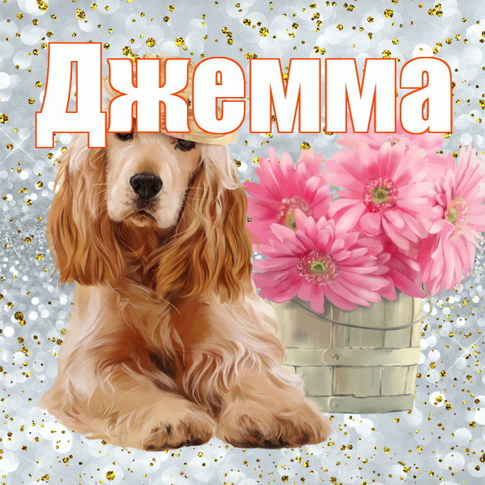 Джемма! С добрым утром! Красивая открытка Джемме!