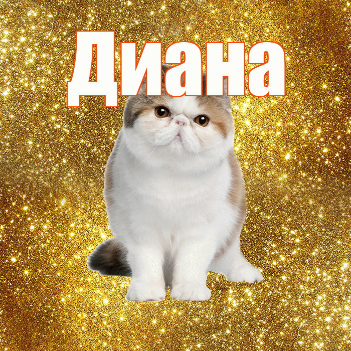Диана! С добрым утром! Красивая открытка Диане!