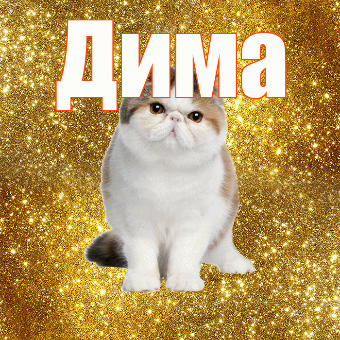 Дима! С добрым утром! Красивая открытка Диму!
